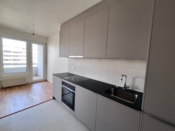 4 pièces entièrement rénové avec balcon 3