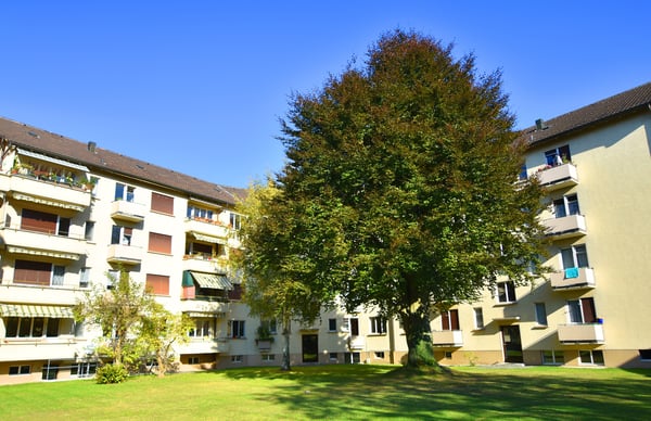 Neues Wohnglück in Thun gesucht? 2
