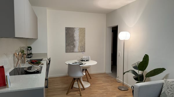Casa Cinque comfort moderno nel cuore di Locarno 4