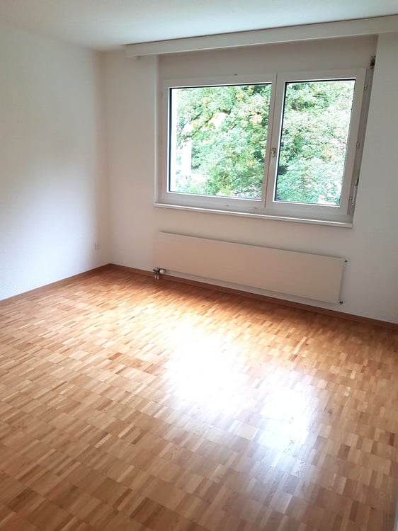 Lichtdurchflutete Wohnung in Aarau Rohr 2
