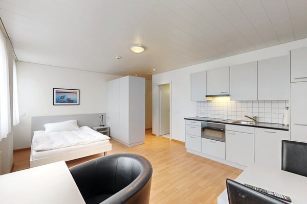 Praktische 1-Zimmerwohnung an zentraler Lage in Berikon 3