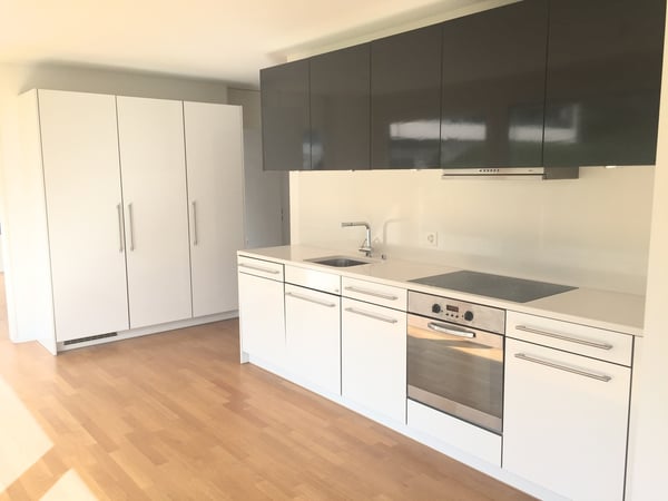 Ihr neues Zuhause in Wädenswil! 2