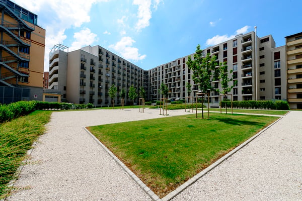 Sur la principale artère de Fribourg 3