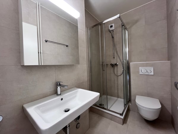 2 Appartements de 2 pièces entièrement rénovés (71 & 73) 6