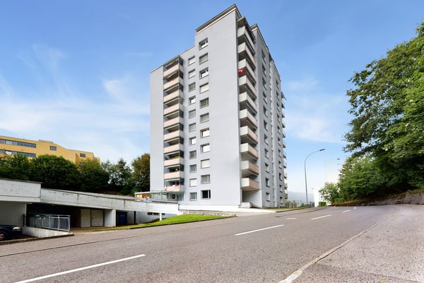 Gemütliches Zuhause nahe Reuss und Natur 3