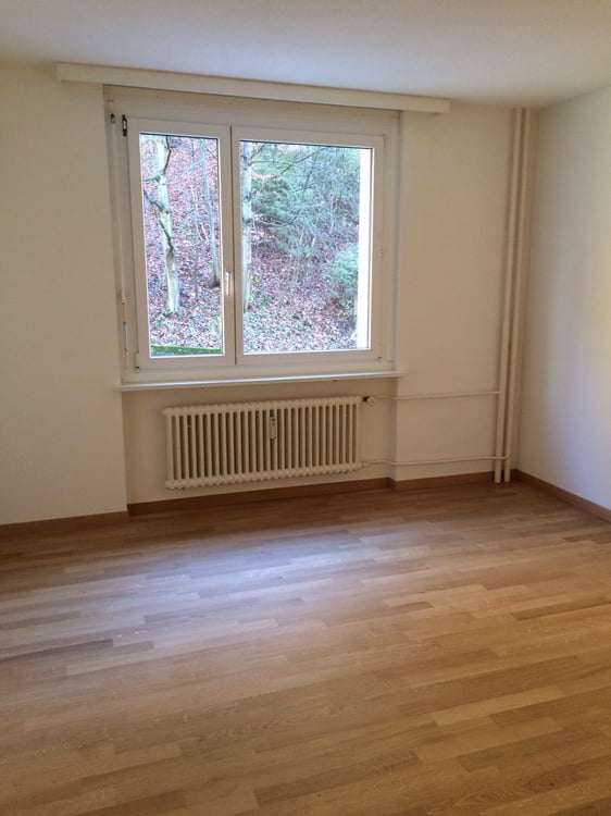 Gemütliches Zuhause nahe Reuss und Natur 7