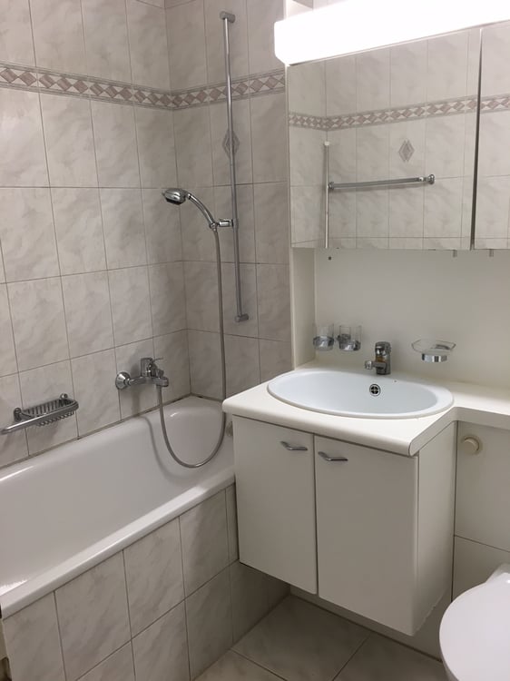 Gemütliches Zuhause nahe Reuss und Natur 6