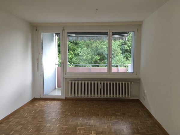 Gemütliches Zuhause nahe Reuss und Natur 4