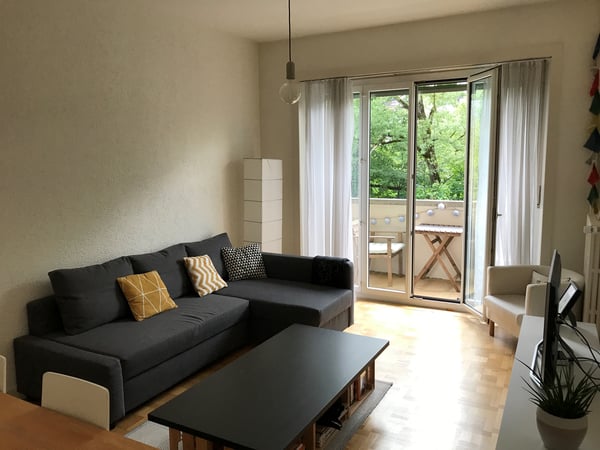 Agréable appartement à Plainpalais 4