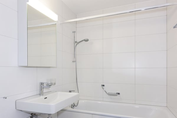 Logement entièrement rénové 3