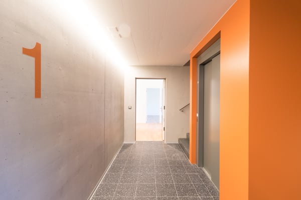 Grosszügige Wohnung im Grünen 2