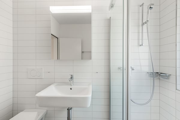 Grosszügige Wohnung im Grünen 5
