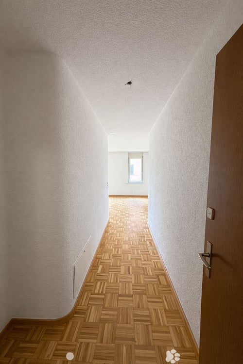 Exklusive Wohnung mit Gartensitzplatz gesucht? 3