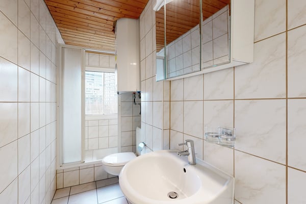 Ideale Singlewohnung 3