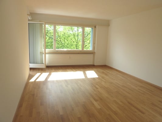 Wohnung im Familienquartier zu vermieten 2
