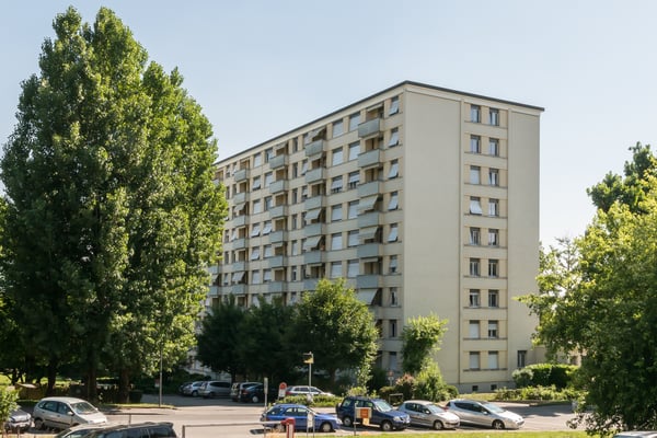 Dans un quartier verdoyant 9
