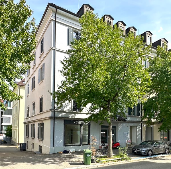 Saniert - charmant - grosszügig - mitten in Zürich! 1