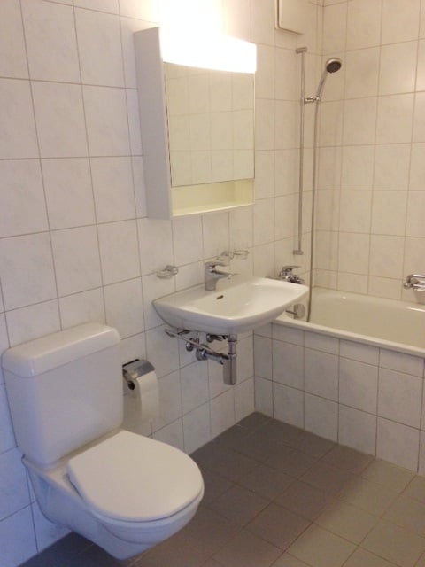 Sonnige Singlewohnung im Grünen 4