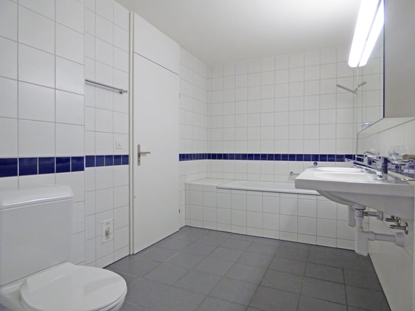 Traum Zuhause am Zürichsee 6