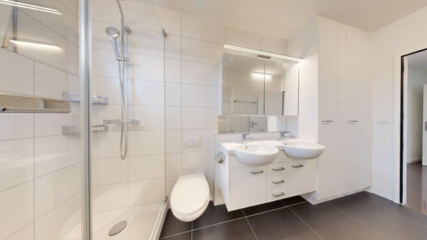 Wohnen mit Stil - grosszügige Attikawohnung im Geissmattquartier 5