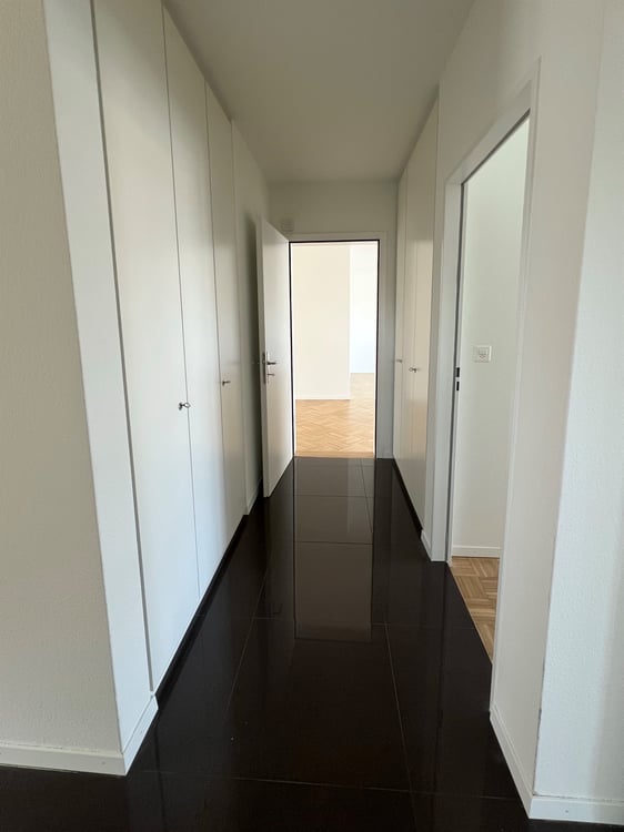 Wohnen mit Stil - grosszügige Attikawohnung im Geissmattquartier 5