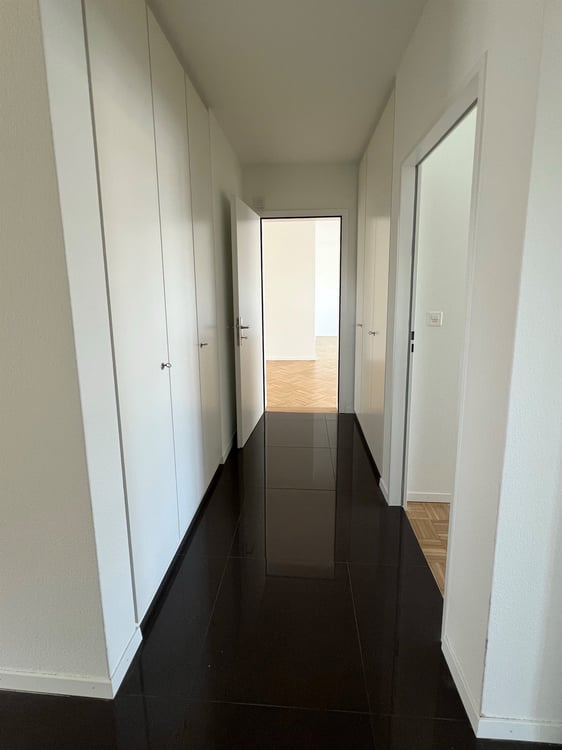 Wohnen mit Stil - grosszügige Attikawohnung im Geissmattquartier 5