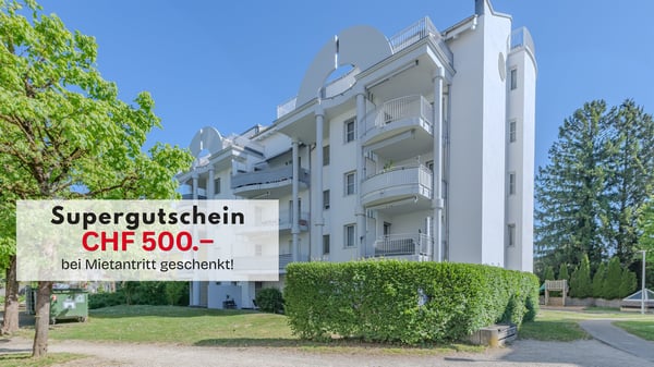 Frisch gestrichene Wohnung? Hier sind Sie an der richtigen Adresse! 1