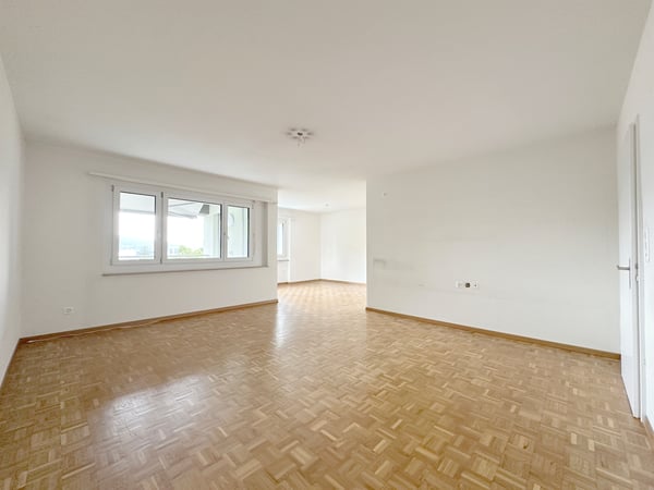 Schmucke Wohlfühloase mit Blick übers Limmattal! 2