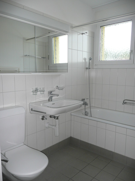 Dachwohnung mit Terrasse in schöner Überbauung im Grünen 3