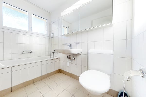 Dachwohnung mit Terrasse in schöner Überbauung im Grünen 4