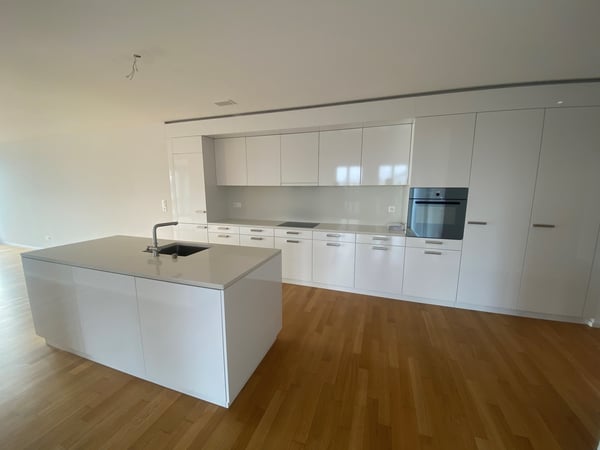 Wunderschönes Wohn-Highlight in Dietikon! 7