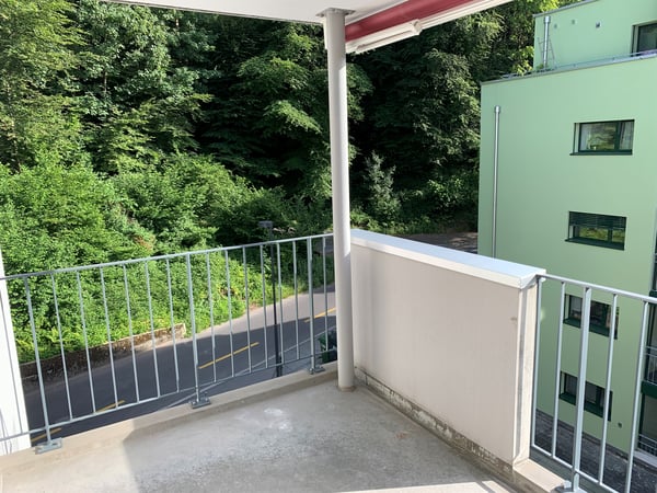 Naturnah wohnen, stadtnah leben moderne 4.5-Zimmer-Wohnung in Luzern 11