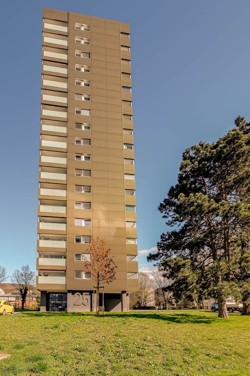 Wohnen in Birsfelden