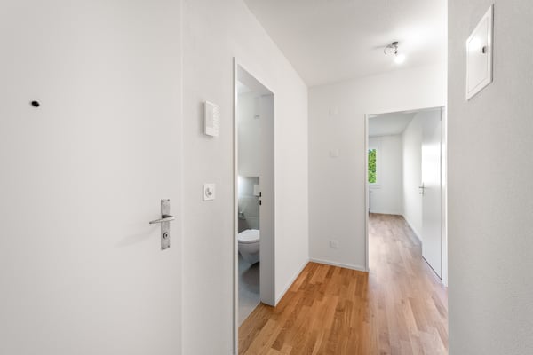 Frisch saniert Attikatraum mit grosser Dachterrasse sucht Sie! 9