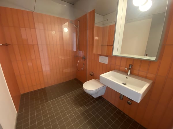 Moderne Wohnung in Winterthur 5