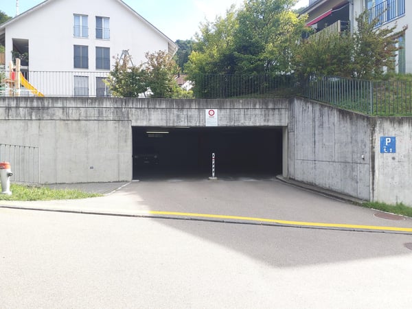 Doppeleinstellplatz am Uetliberg zu vermieten! 4