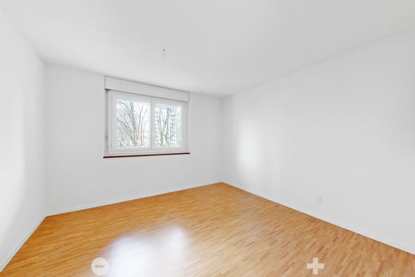 Hier blüht das Leben! 5