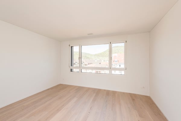 Moderne Gartenwohnung in Lausen 4
