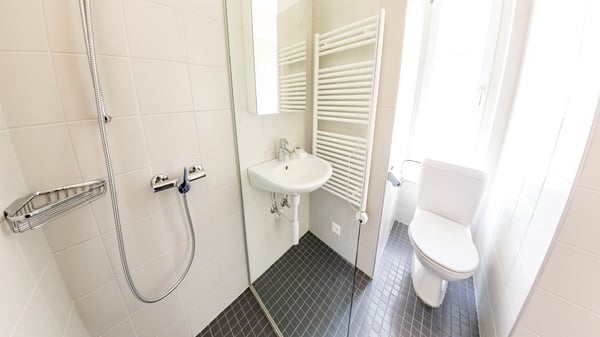 Einzigartige Dachwohnung im idyllischen Feldbrunnen 3