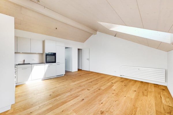 Einzigartige Dachwohnung im idyllischen Feldbrunnen 2