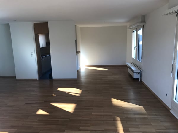 Wohntraum Attika - im bevorzugten Haslenquartier mit 2 Terrassen! 6