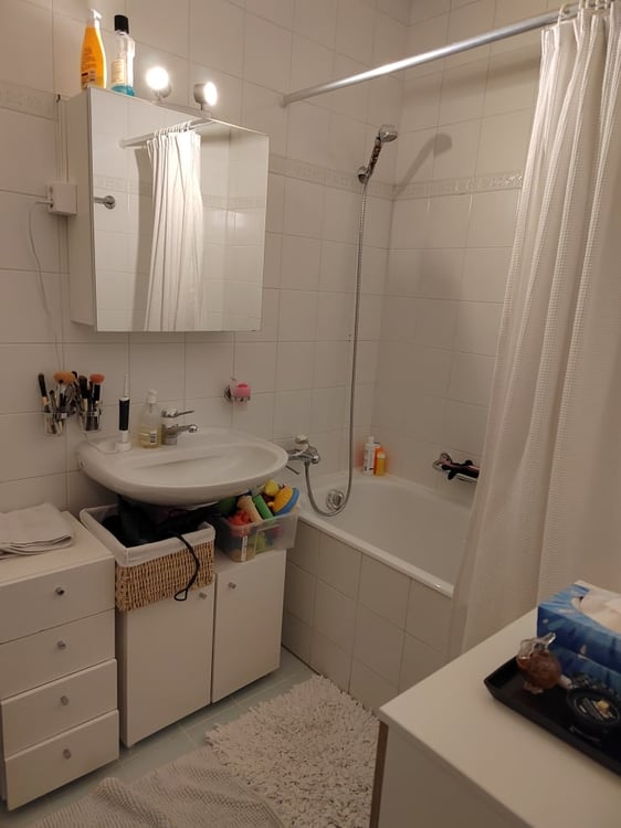 Magnifique appartement à deux pas de l'Arve ! 7