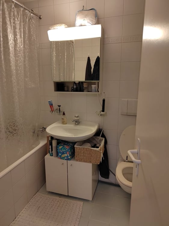 Magnifique appartement à deux pas de l'Arve ! 8