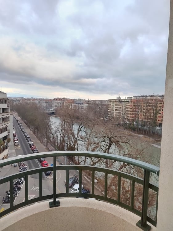 Magnifique appartement à deux pas de l'Arve ! 9