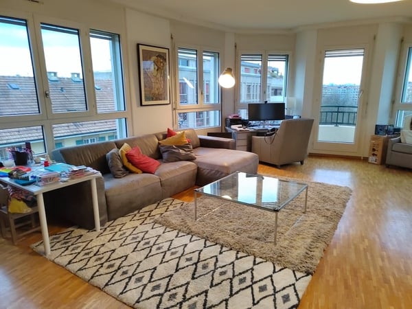 Magnifique appartement à deux pas de l'Arve ! 2