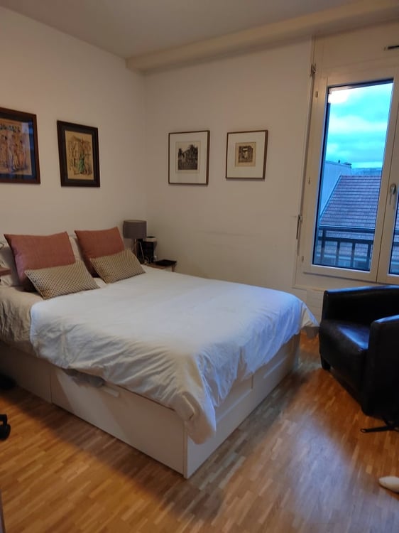 Magnifique appartement à deux pas de l'Arve ! 6