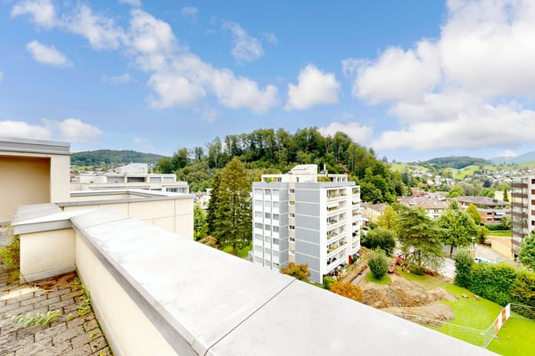 Dachwohnung mit grosser Terrasse und grossartiger Aussicht! 4