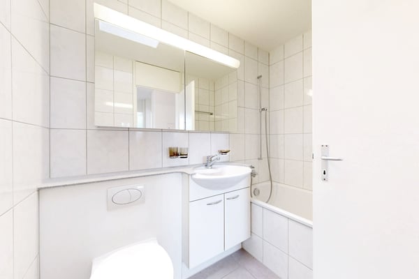 Dachwohnung mit grosser Terrasse und grossartiger Aussicht! 8