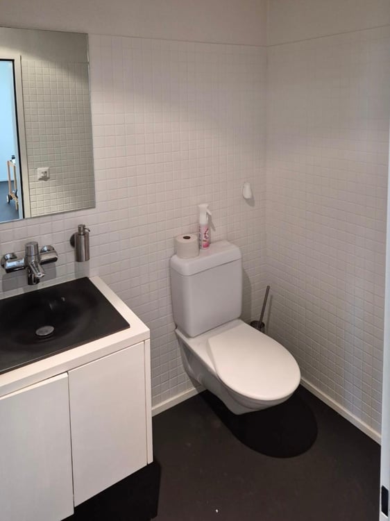 Gewerbefläche im Herzen von Horgen 10