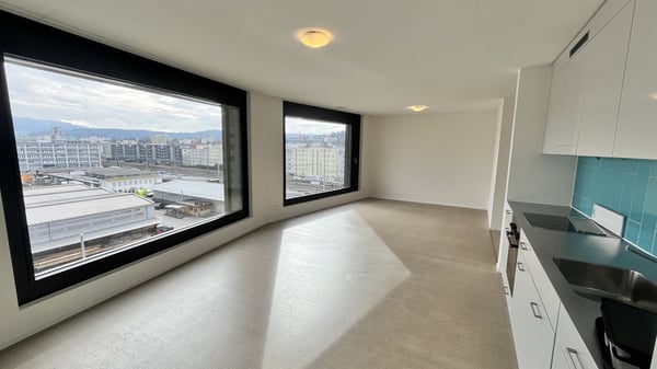 Moderne Wohnung in Schlieren 3